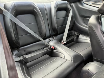 2019 Ford Mustang GT Premium Blue Certified Near Milwaukee WI