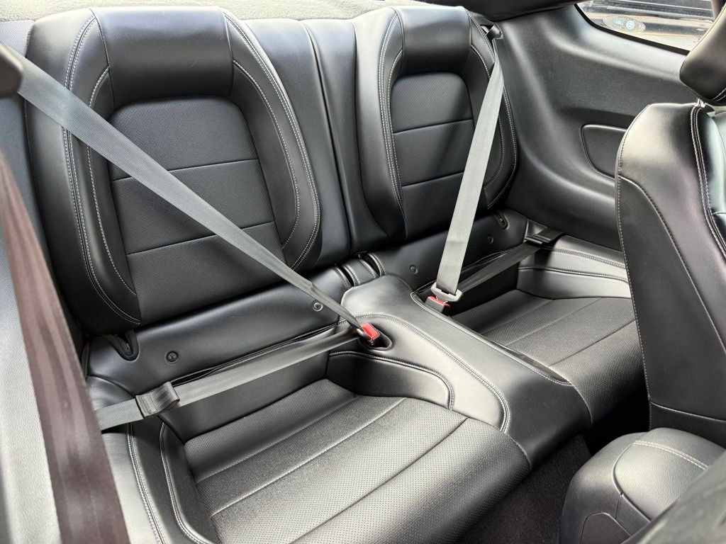 2019 Ford Mustang GT Premium Blue Certified Near Milwaukee WI