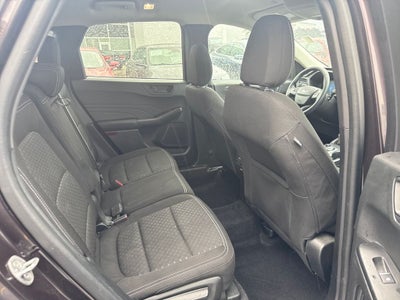 2023 Ford Escape Active Certified Near Milwaukee WI