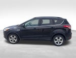 2016 Ford Escape SE Near Milwaukee WI