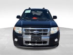 2009 Ford Escape Limited