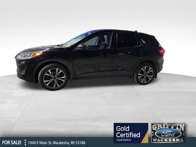 2022 Ford Escape SE Certified AWD Near Milwaukee WI