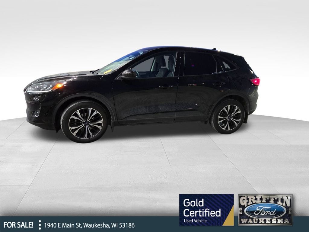 2022 Ford Escape SE Certified AWD Near Milwaukee WI