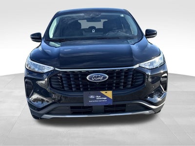 2023 Ford Escape Active Certified AWD Near Milwaukee WI