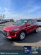 2021 Ford Escape Titanium Blue Certified AWD Near Milwaukee WI