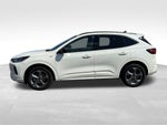 2024 Ford Escape ST-Line FORD GOLD CERTIFIED
