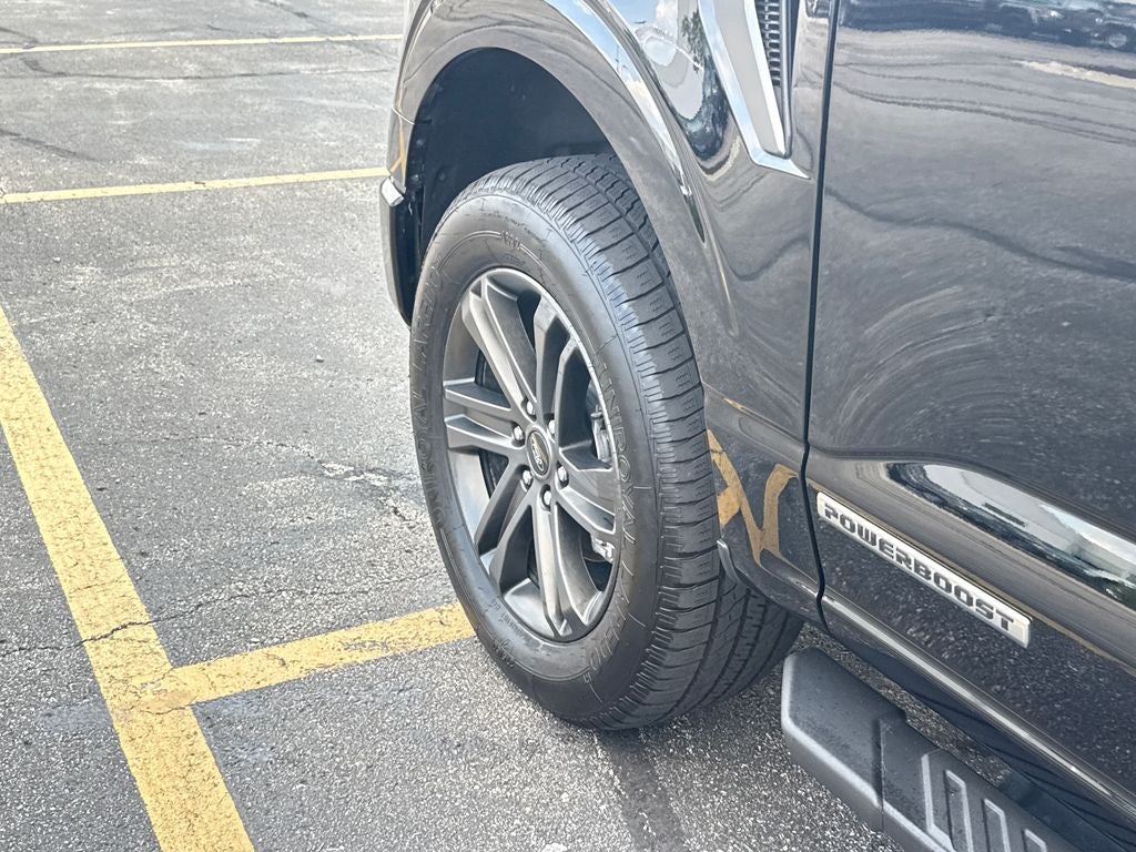 2021 Ford F-150 XLT FORD BLUE CERTIFIED