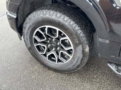 2023 Ford F-150 XLT Certified 4WD Near Milwaukee WI