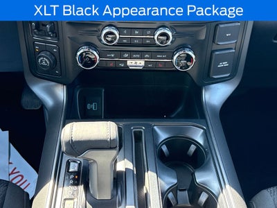2024 Ford F-150 XLT Blue Certified 4WD Near Milwaukee WI