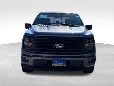2024 Ford F-150 XLT FORD GOLD CERTIFIED