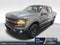 2024 Ford F-150 Tremor FORD GOLD CERTIFIED
