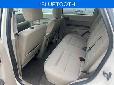 2011 Ford Escape XLT Near Madison WI