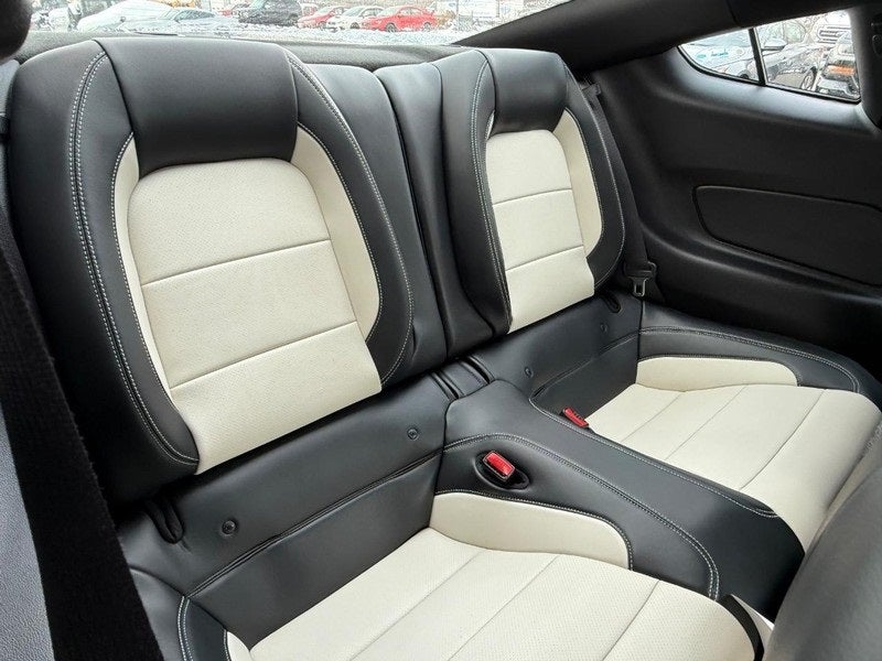 2015 Ford Mustang GT 50 Years Limited Edition